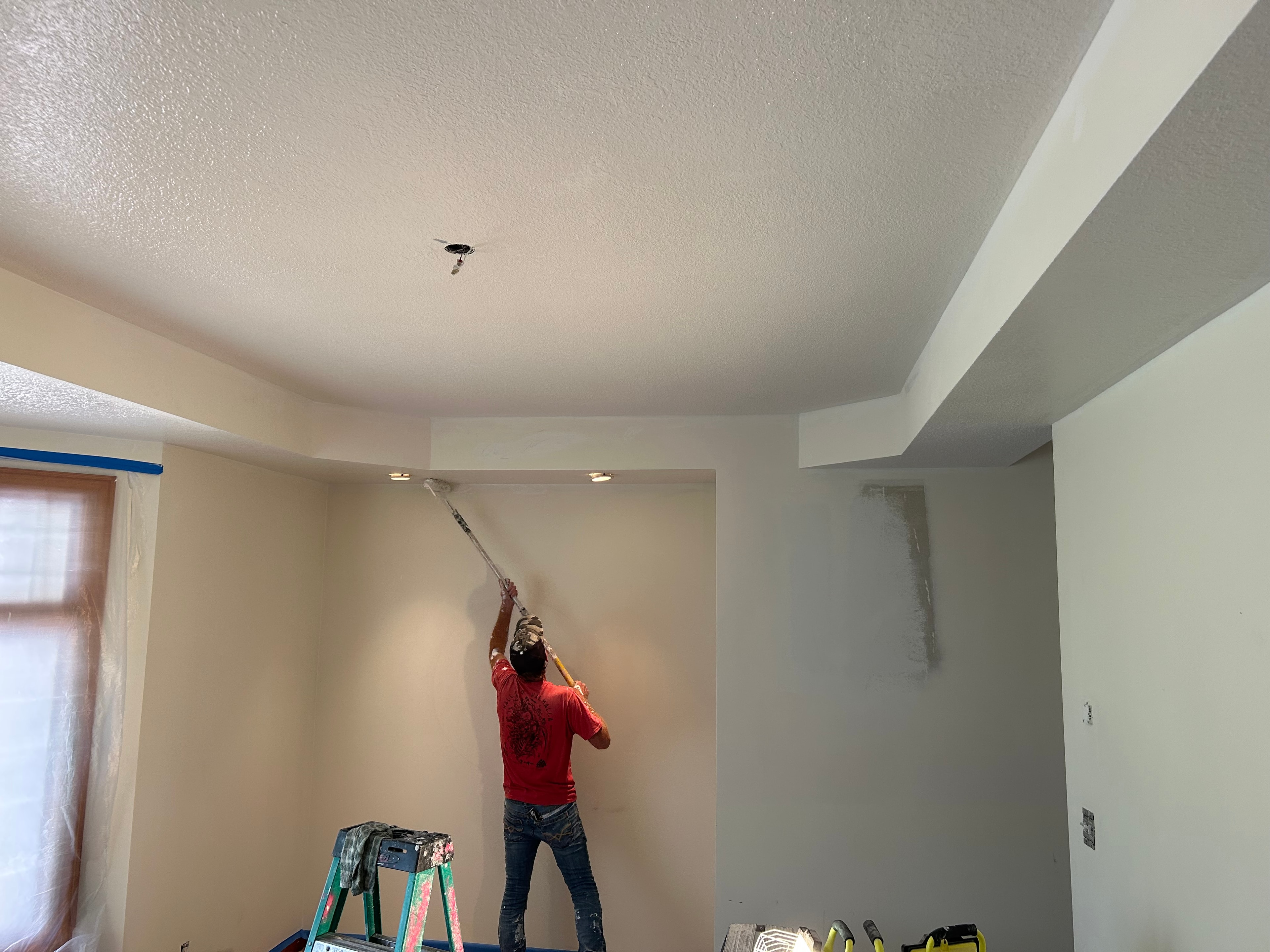 Remodel & Repaint