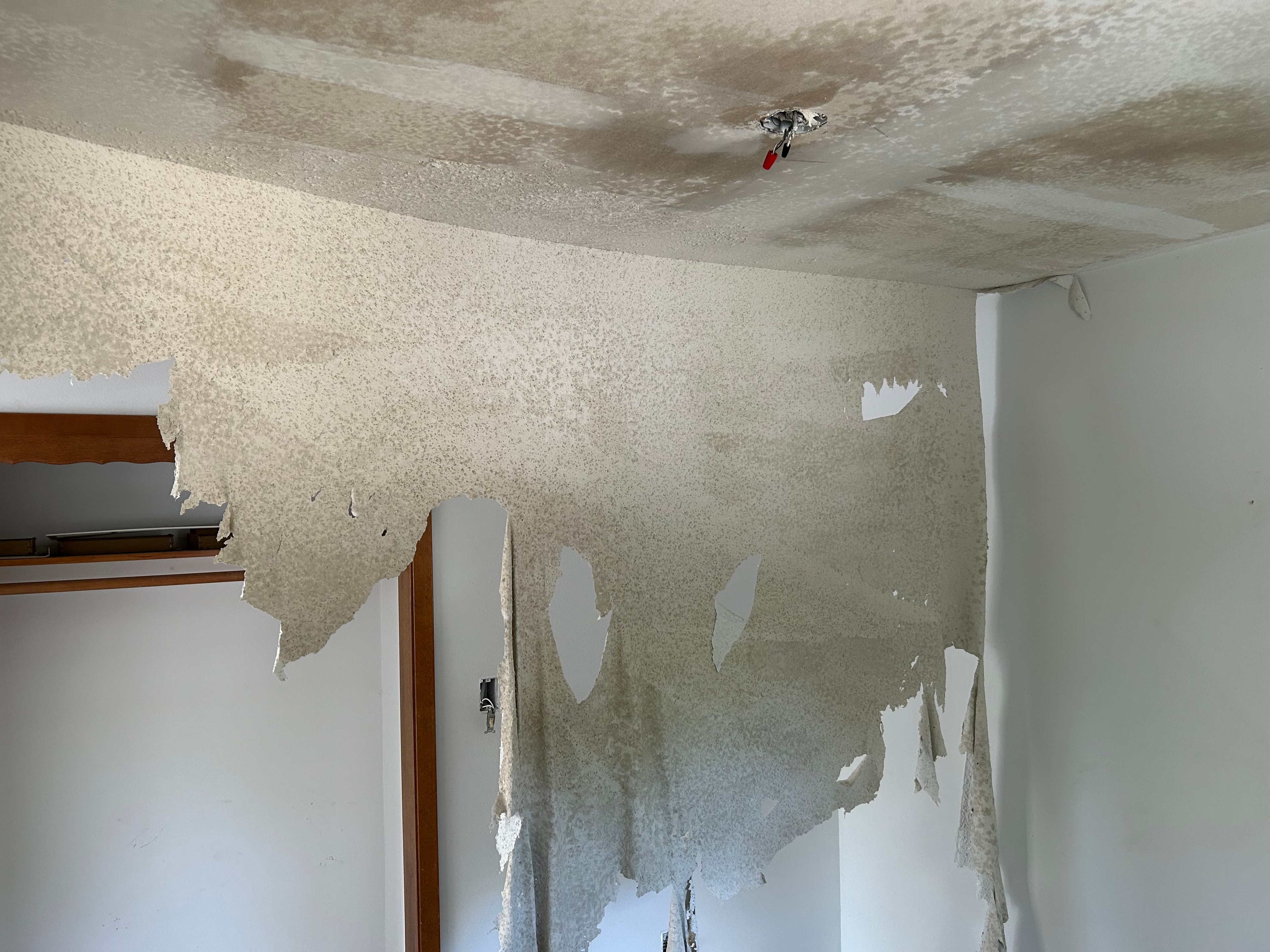 Popcorn Ceiling Removal